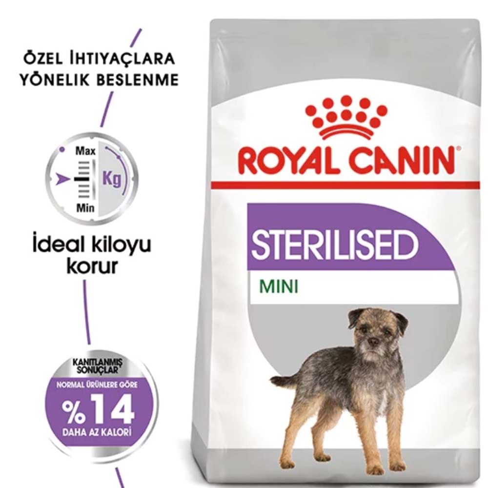 Royal Canin Mini Irk Kısırlaştırılmış Köpek Maması 3 Kg