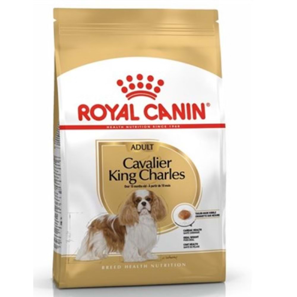 Royal Canin Cavalier Yetişkin Köpek Maması 3 Kg