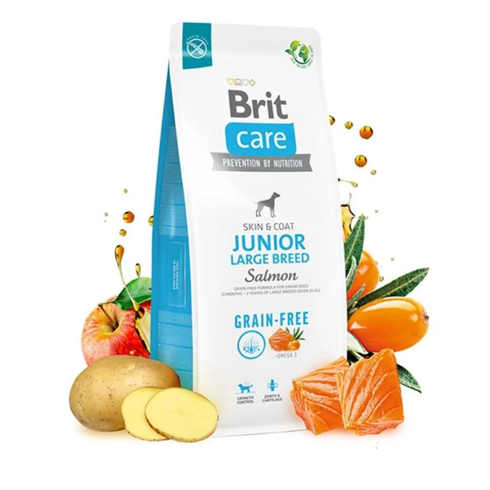 Brit Care Junior Skin & Coat Somonlu Tahılsız Büyük Irk Yavru Köpek Maması 12kg