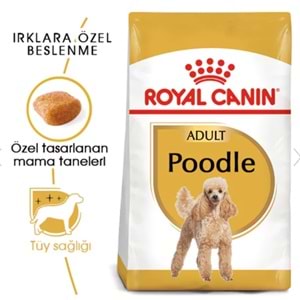 Royal Canin Poodle Yetişkin Köpek Maması 3 Kg