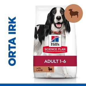 Hill's SCIENCE PLAN Kuzulu Orta Irk Yetişkin Köpek Maması 12kg + 2kg HEDİYE!