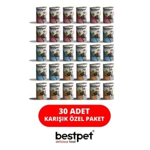 Bestpet Karışık Aromalı Özel Paket Kedi Konservesi 30 Adet