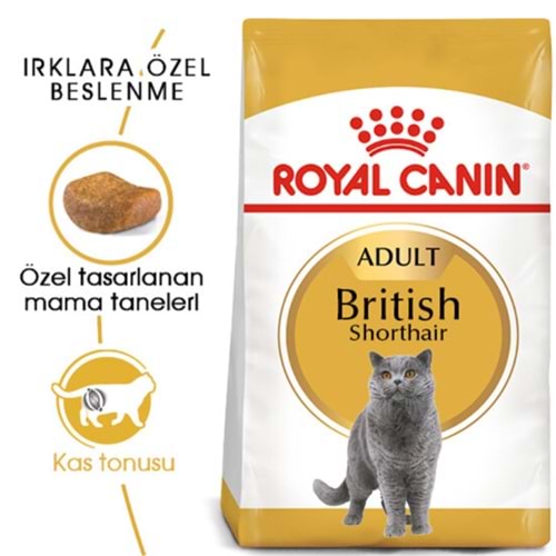 Royal Canin British Shorthair Yetişkin Kedi Maması 10 Kg