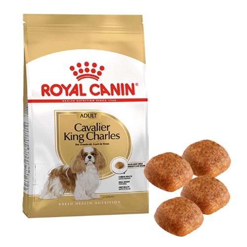 Royal Canin Cavalier Yetişkin Köpek Maması 1,5 Kg