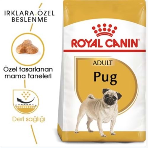 Royal Canin Pug Yetişkin Köpek Maması