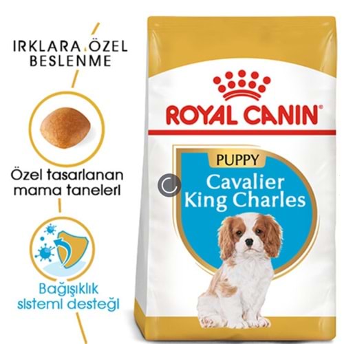 Royal Canin Cavalier Yavru Köpek Maması 1, 5 kg