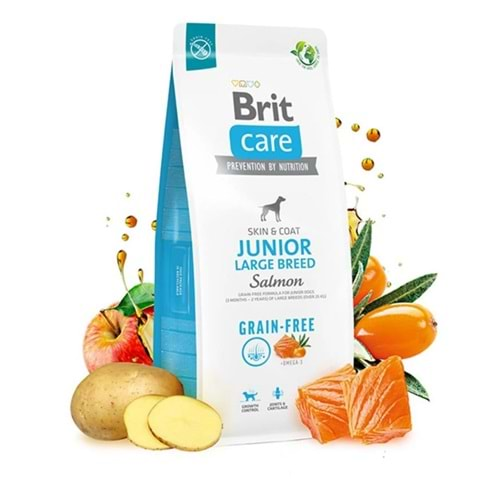 Brit Care Junior Skin & Coat Somonlu Tahılsız Büyük Irk Yavru Köpek Maması 12kg