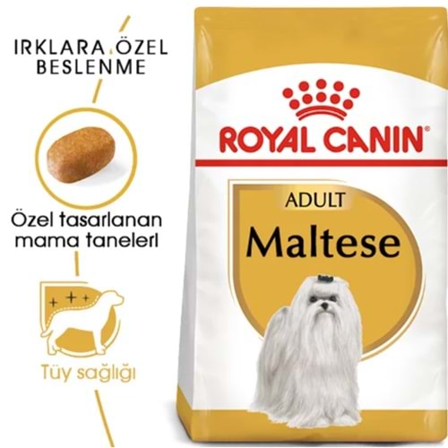 Royal Canin Maltese Yetişkin Köpek Maması 1,5 Kg
